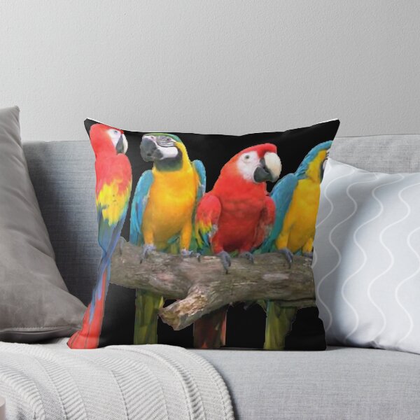 Item preview, Cuatro guacamayos, con plumas bonitas, cuerpo grande y buena inteligencia y habilidad para hablar. designed and sold by zenger2021.