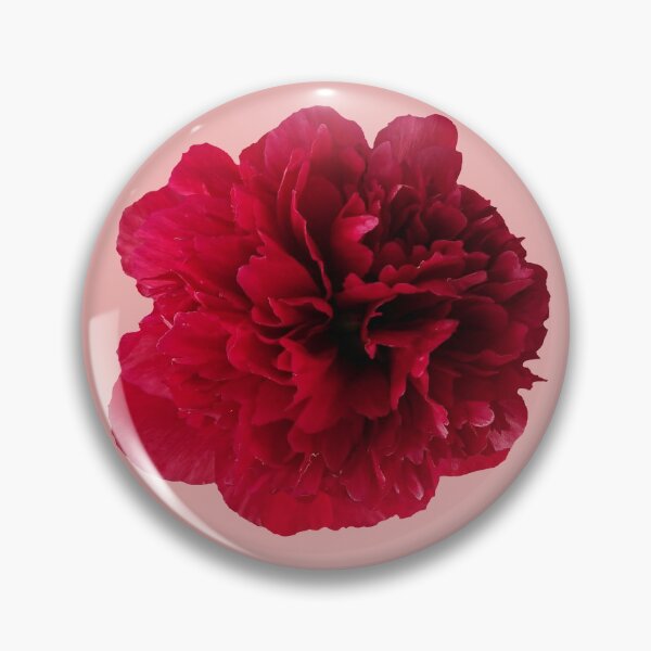 Aperçu de l'œuvre Pivoine rouge créée et vendue par Howlites.