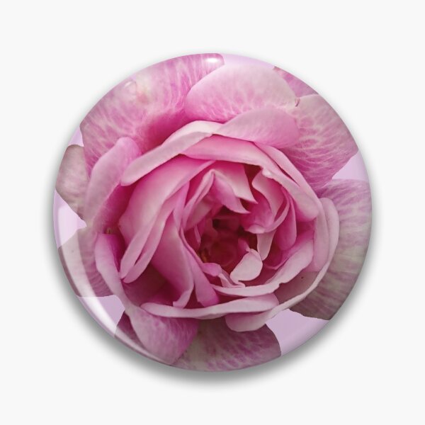 Item preview, Pink Rose designed and sold by Howlites.