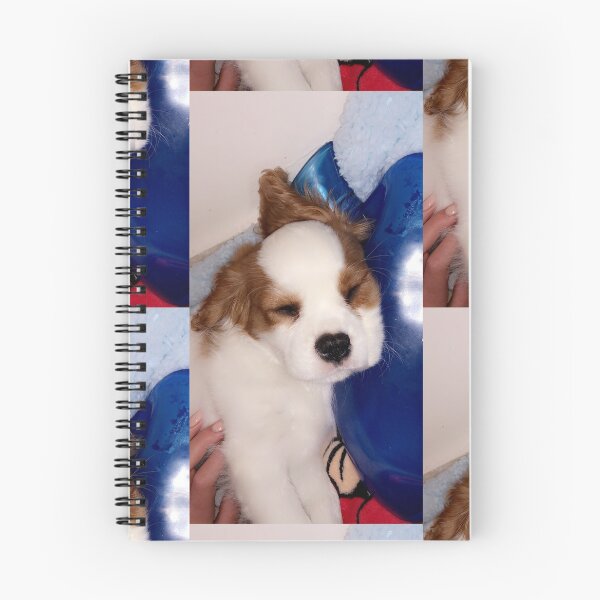 Item preview, king charles puppy designed and sold by liorkoren.