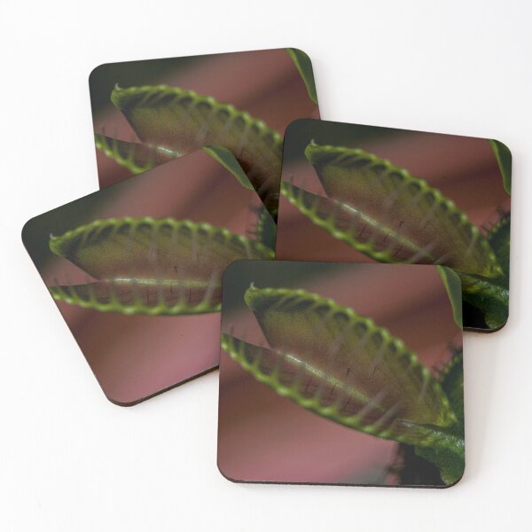 Item preview, Macro Venus Flytrap designed and sold by axp7884.