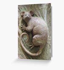 Possum Greeting Card