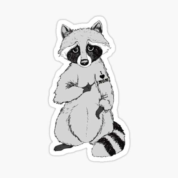 Raccoon Collection Raccoon Temporary Tattoos  Amazoncouk Beauty