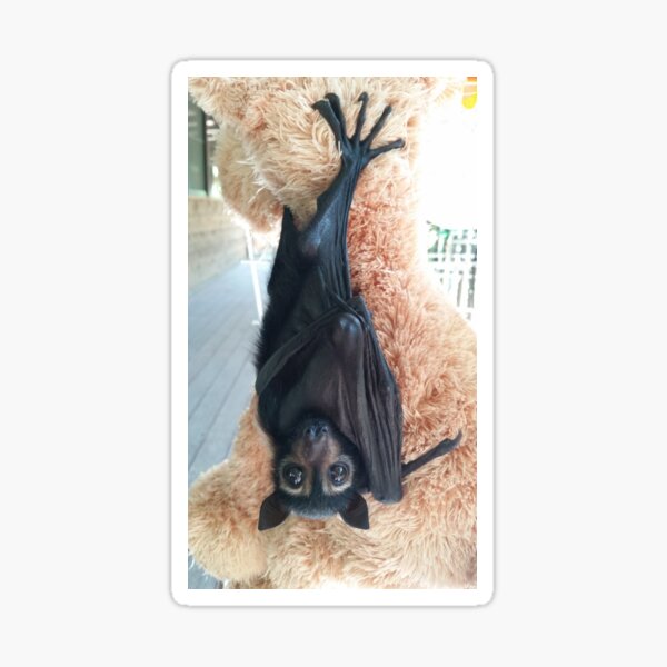 Item preview, Liebe meinen Teddy designed and sold by KraftyPanda.