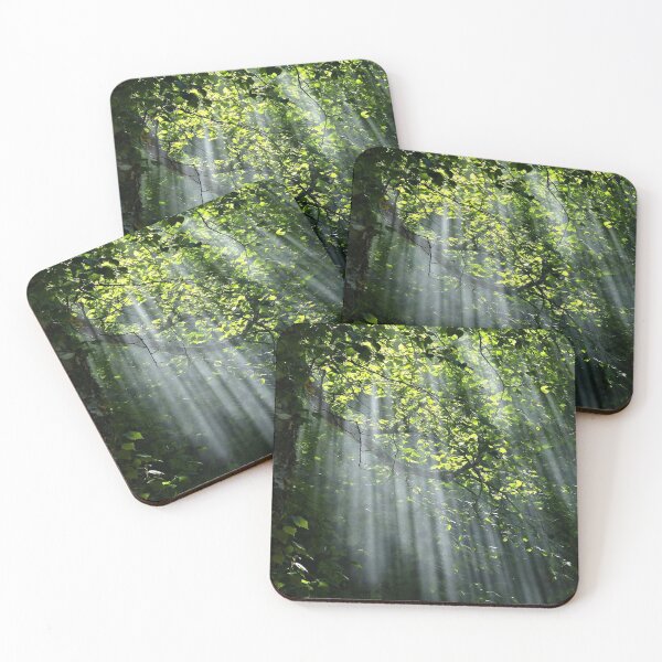 Item preview, Sunbeam Forest designed and sold by dresscastle.