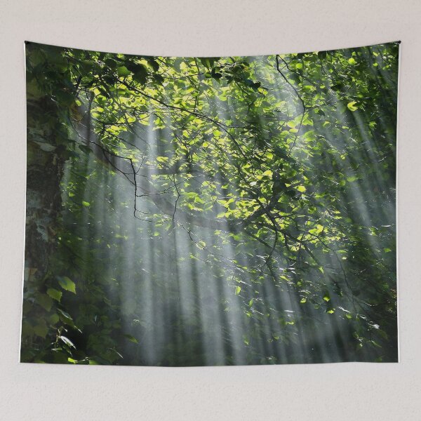 Item preview, Sunbeam Forest designed and sold by dresscastle.