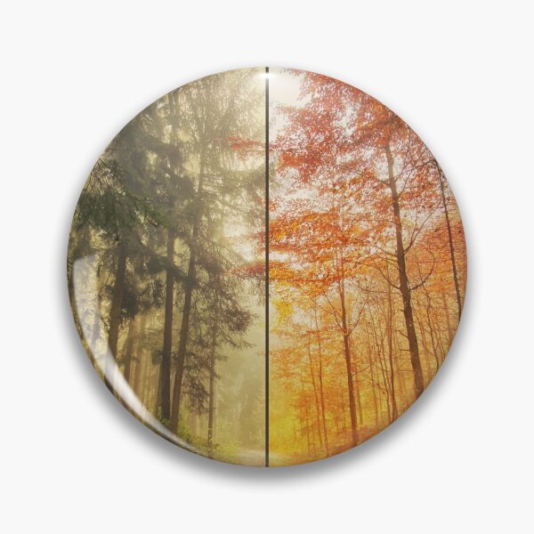 Item preview, Coniferous forest and deciduous forest in the square - autumn designed and sold by Walderfahrung.