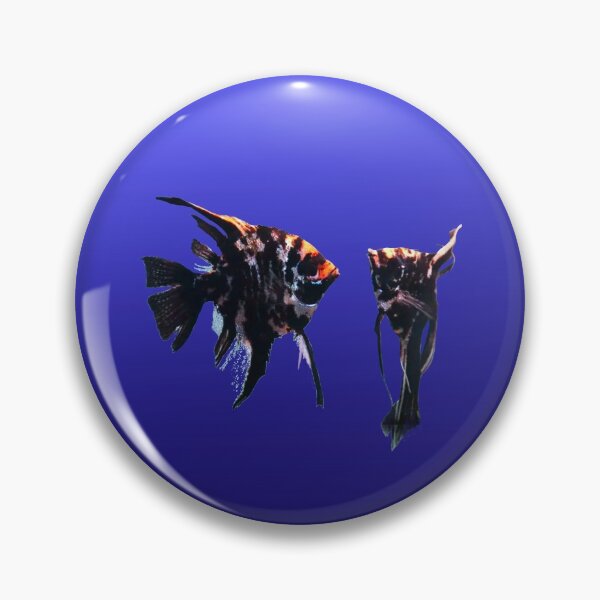 Item preview, ANGEL FISH, Pterophyllum scalare designed and sold by Danicus666.
