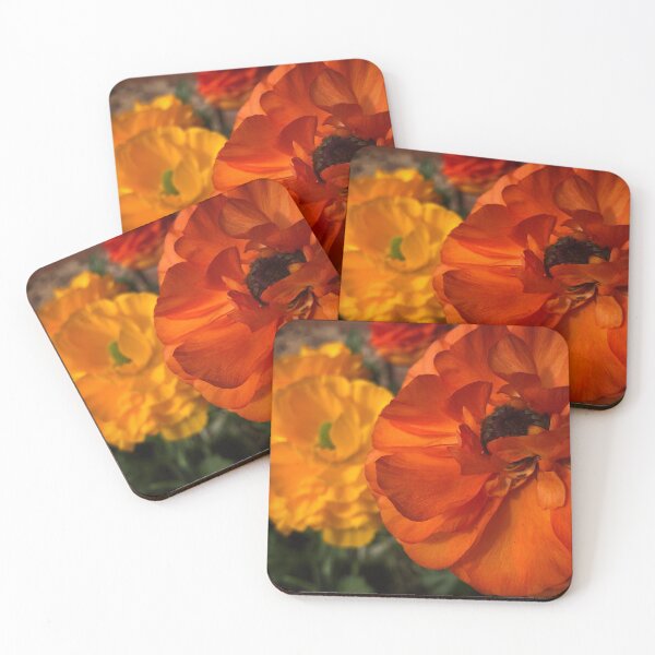Item preview, Ranunculus designed and sold by SSnelling.