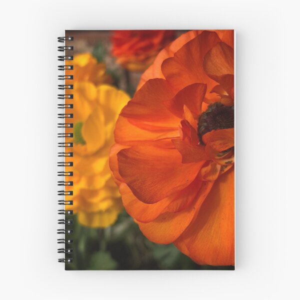 Item preview, Ranunculus designed and sold by SSnelling.
