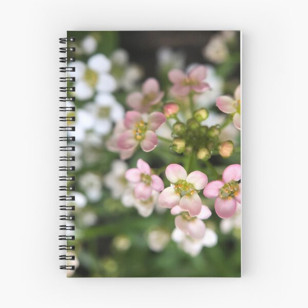 Artikelvorschau, Süßes Alyssum entworfen und verkauft von SSnelling.