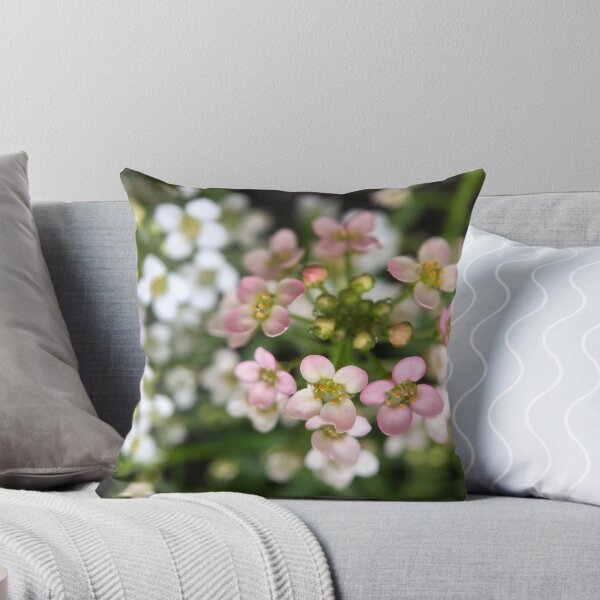 Item preview, Sweet Alyssum designed and sold by SSnelling.