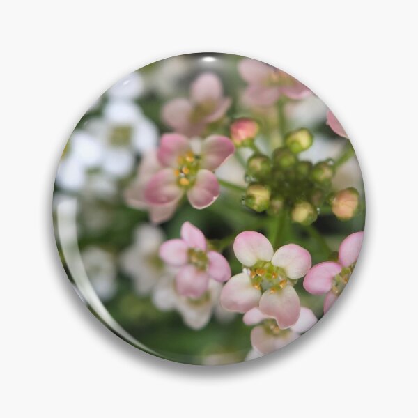 Item preview, Sweet Alyssum designed and sold by SSnelling.