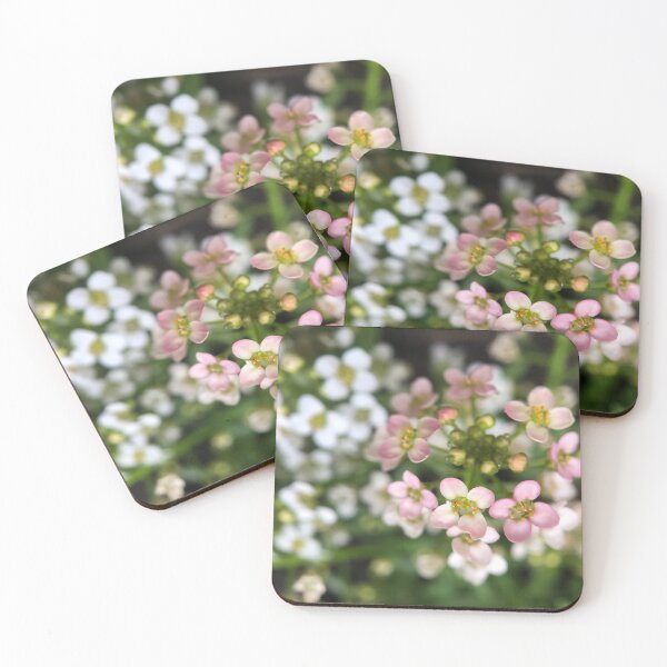 Item preview, Sweet Alyssum designed and sold by SSnelling.
