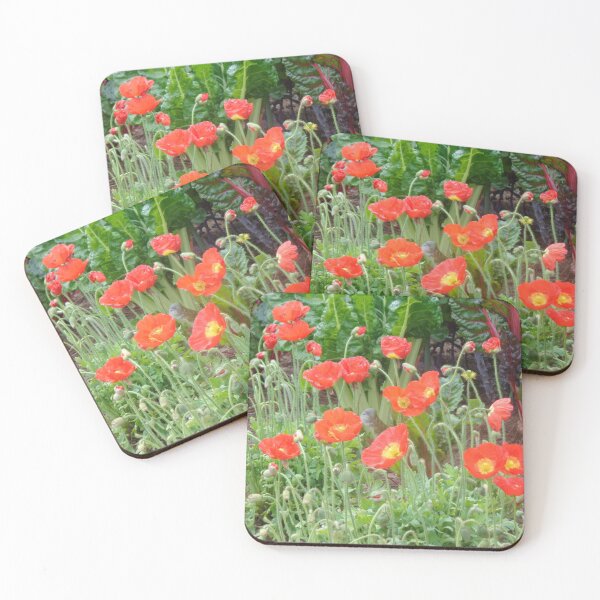 Item preview, Orange Burst designed and sold by GardenArtworks.