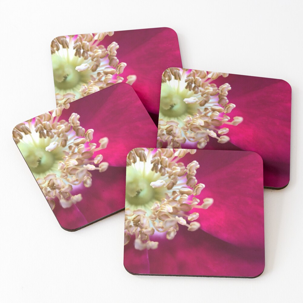 Item preview, Coasters (Set of 4) designed and sold by SSnelling.