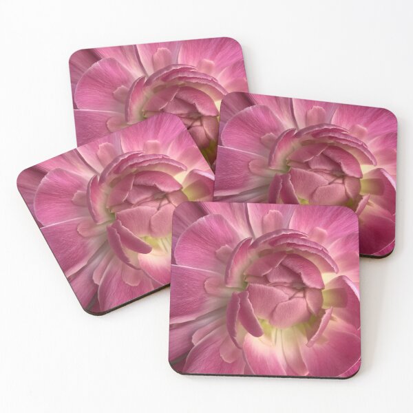 Item preview, Ranunculus designed and sold by SSnelling.