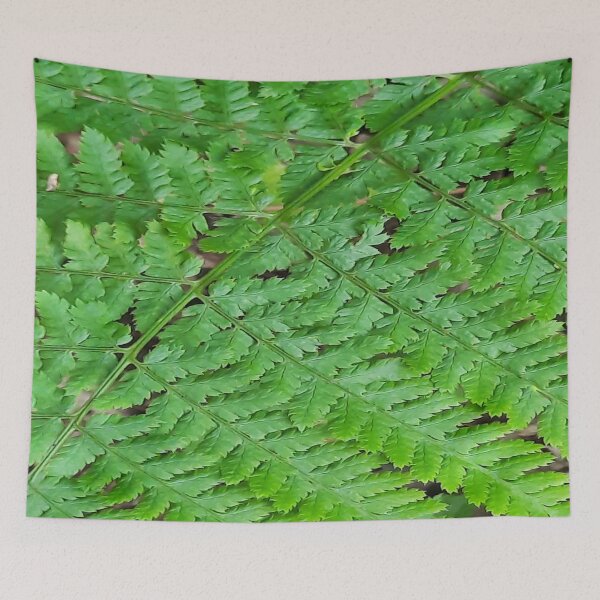 Item preview, Fern Leaves-weed-Botanical Pattern designed and sold by DiensDesign.