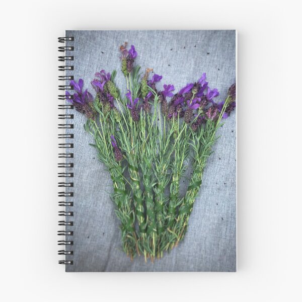 Item preview, Lavender bundles  designed and sold by SSnelling.