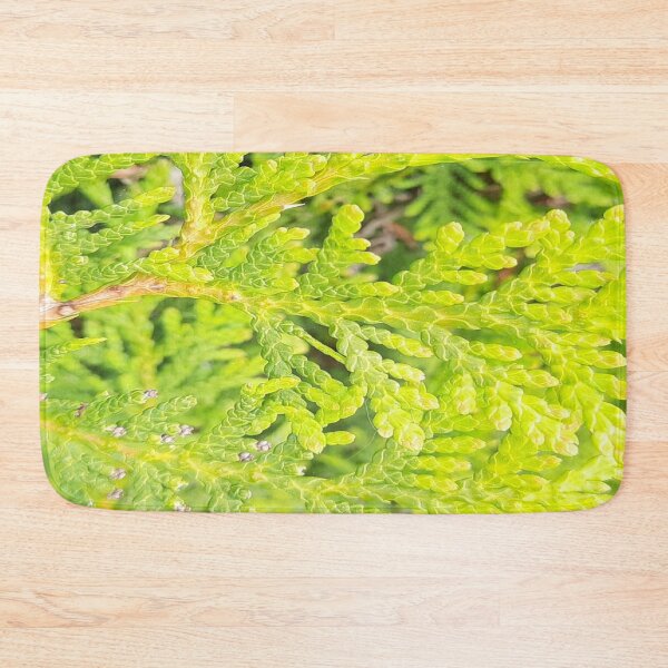Item preview, Conifer-Coniferous-Botanical Pattern designed and sold by DiensDesign.
