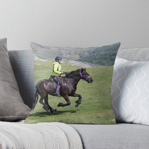 Item preview, Trail Ride designed and sold by MJ-Piccys.