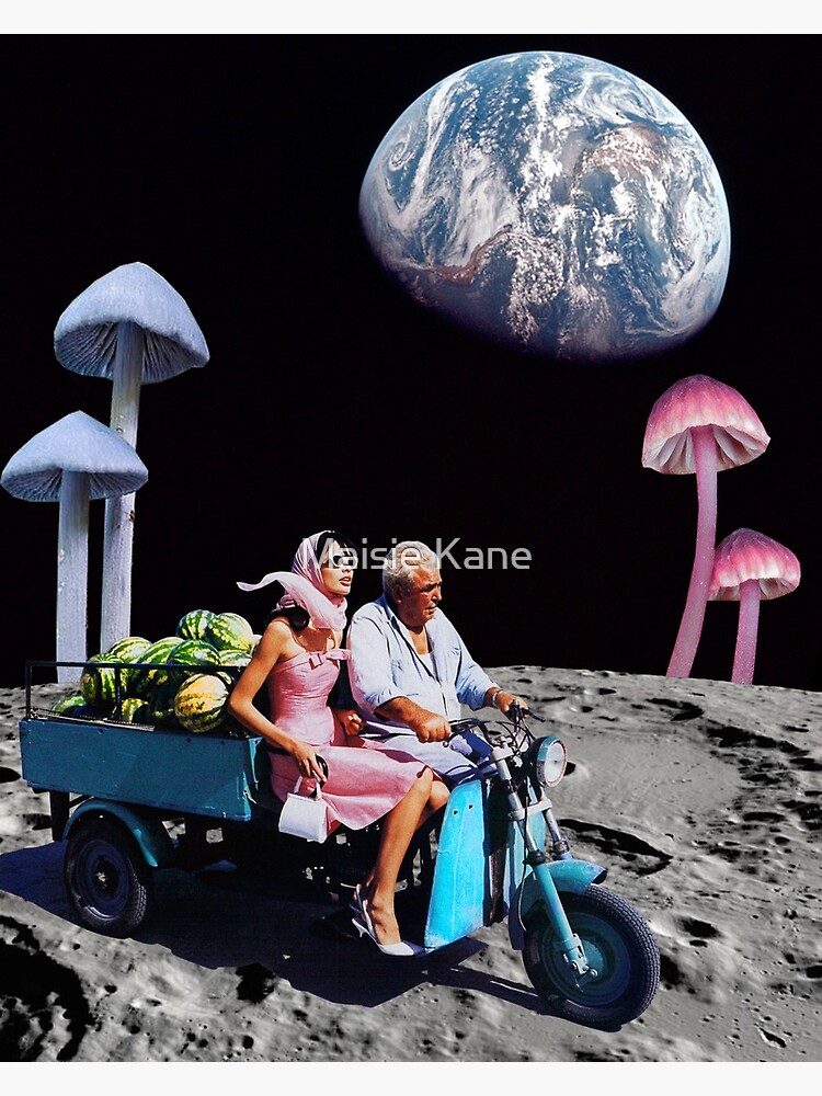 Watermelon delivery by maisiekane