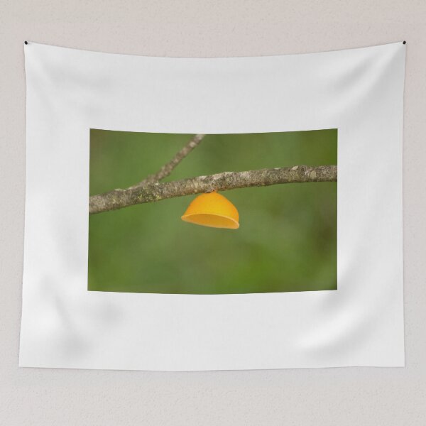 Item preview, hlb lampshade designed and sold by pcfyi.