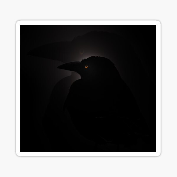 Currawong Sticker