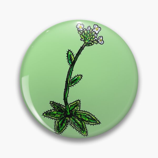 Item preview, The Little Plant of Science  designed and sold by OceanaOrlaghArt.