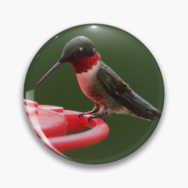 Item preview, Ruby-Throated Hummingbird Feeding designed and sold by LisaNaturePhoto.
