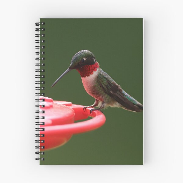 Item preview, Ruby-Throated Hummingbird Feeding designed and sold by LisaNaturePhoto.