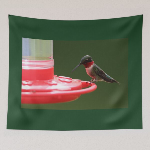 Item preview, Ruby-Throated Hummingbird Feeding designed and sold by LisaNaturePhoto.