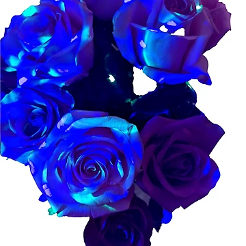 Artwork thumbnail, Blue Roses by Tropicx