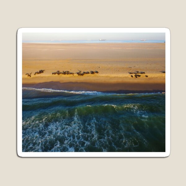 Item preview, Surfing Skeleton Bay, Namibia designed and sold by Public Etsy.