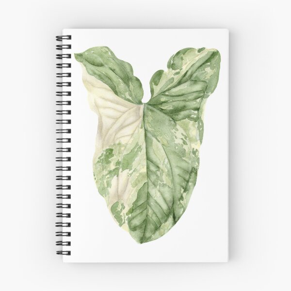 Item preview, Syngonium Albo Variegata designed and sold by sadiesavesit.