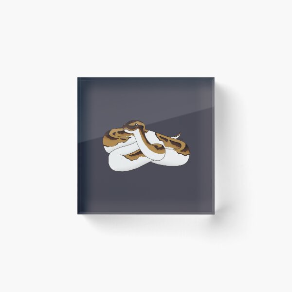 Item preview, Piebald Ball Python Illustration III designed and sold by anacecilia.