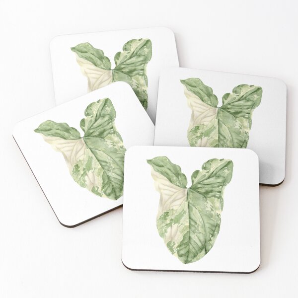 Item preview, Syngonium Albo Variegata designed and sold by sadiesavesit.