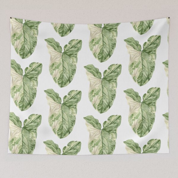 Item preview, Syngonium Albo Variegata designed and sold by sadiesavesit.
