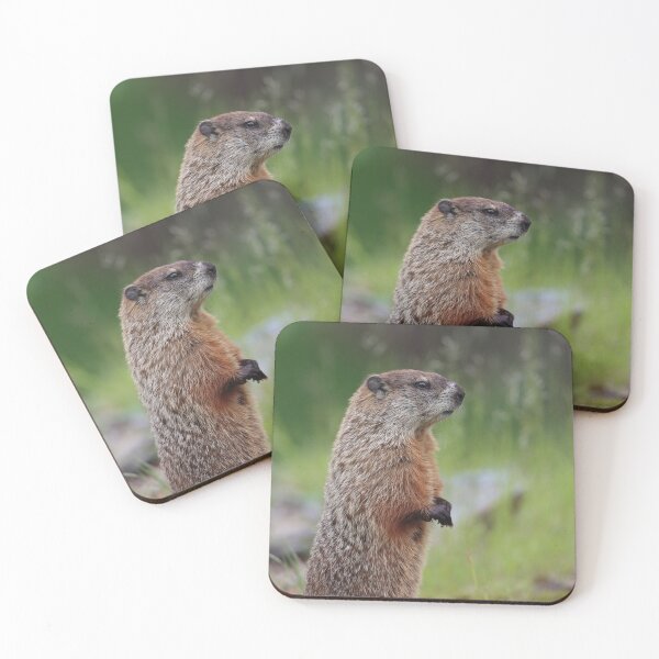 Item preview, Woodchuck on the Lookout designed and sold by LisaNaturePhoto.