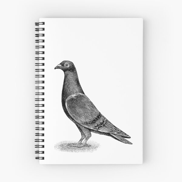 Item preview, Svelte Gregorio  designed and sold by Quill-n-Ink.