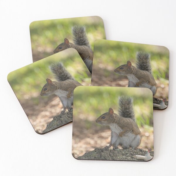 Item preview, Playful cute grey squirrel designed and sold by Zina Stromberg.