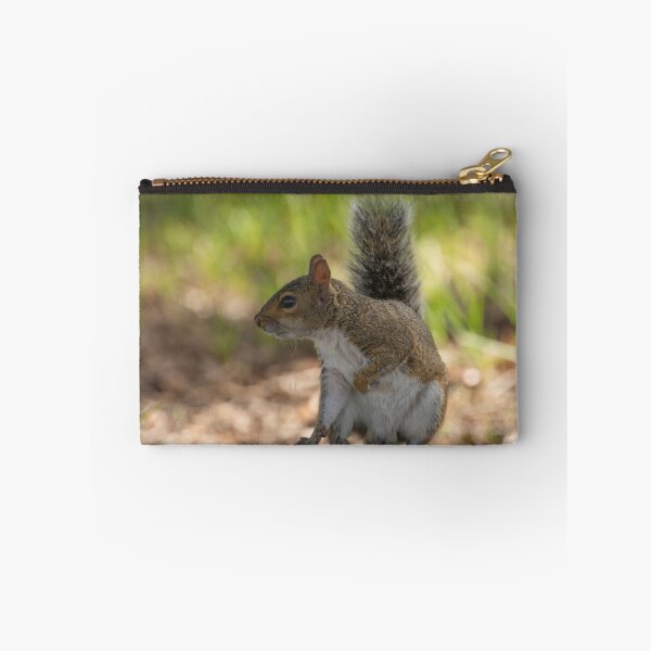Item preview, Playful cute grey squirrel designed and sold by Zina Stromberg.
