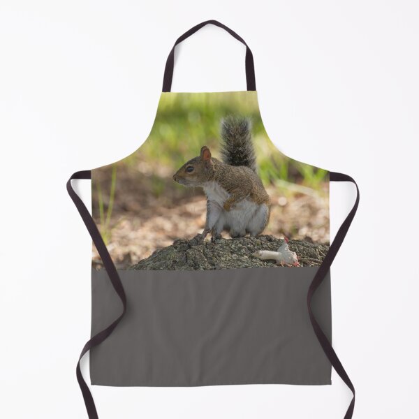 Item preview, Playful cute grey squirrel designed and sold by Zina Stromberg.