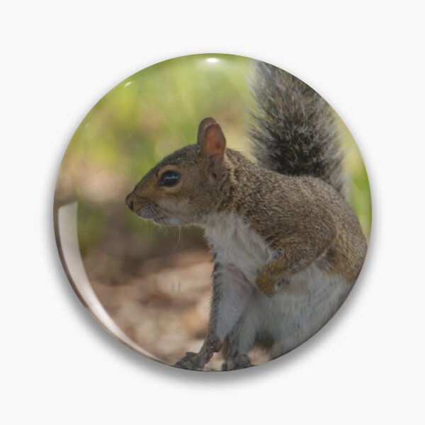 Item preview, Playful cute grey squirrel designed and sold by Zina Stromberg.