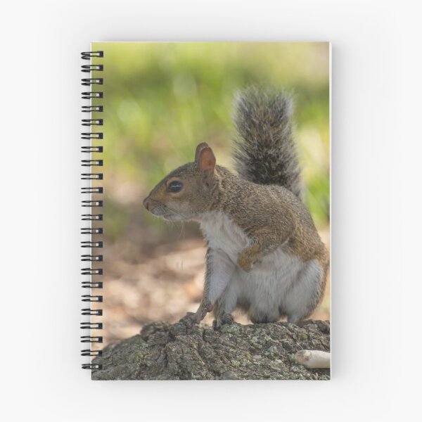 Item preview, Playful cute grey squirrel designed and sold by Zina Stromberg.