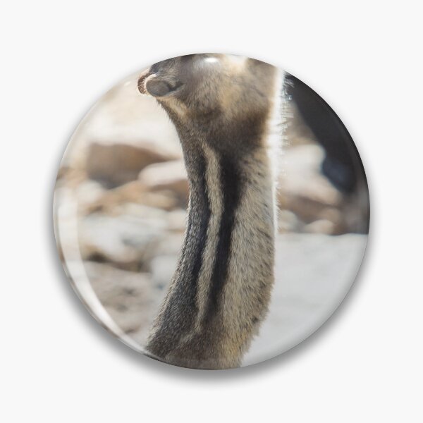 Item preview, Praise The Lord All Yea Creatures Great and Small! designed and sold by Jim Stiles.