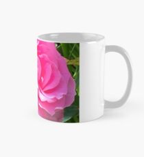 Blush Pink Rose Mug