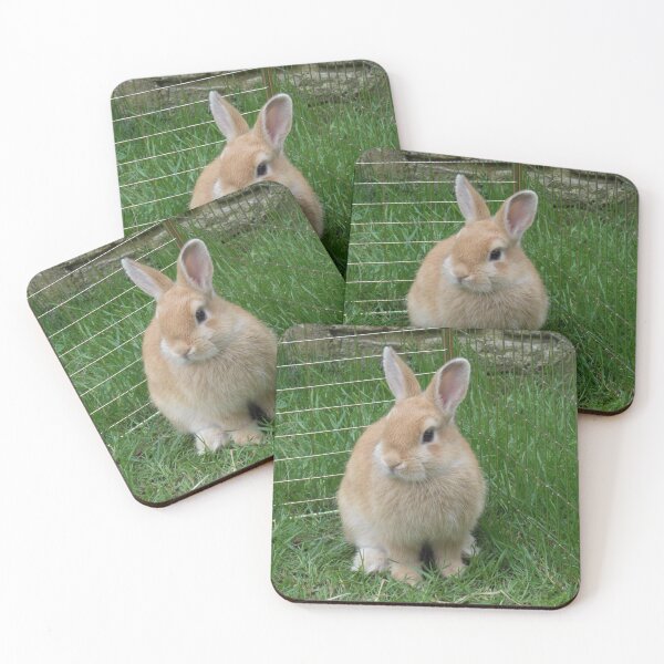Item preview, Netherland Dwarf Rabbit designed and sold by Emma Martinez.