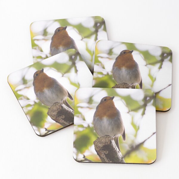 Item preview, European Robin Bird designed and sold by Emma Martinez.