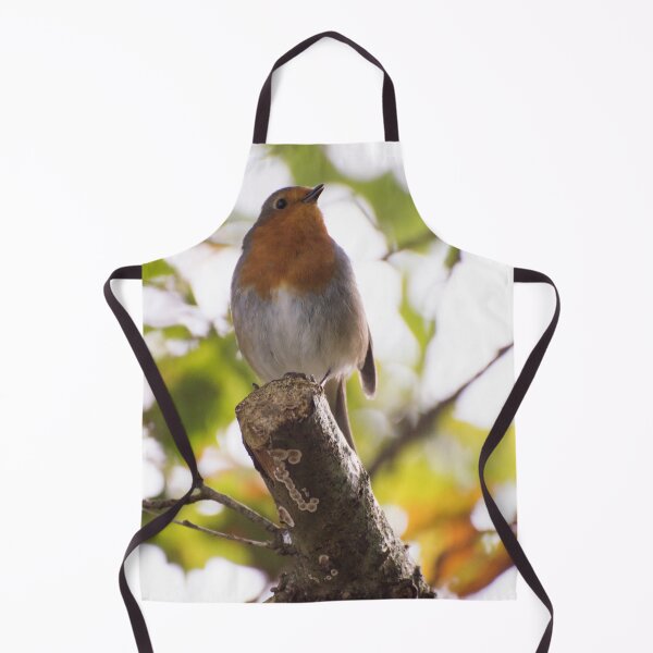 Item preview, European Robin Bird designed and sold by Emma Martinez.